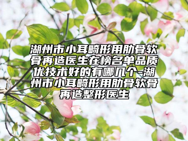湖州市小耳畸形用肋骨软骨再造医生在榜名单品质优技术好的有哪几个-湖州市小耳畸形用肋骨软骨再造整形医生