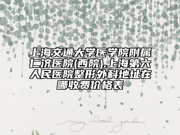 上海交通大学医学院附属仁济医院(西院),上海第六人民医院整形外科地址在哪收费价格表
