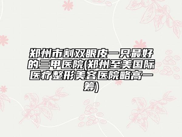 郑州市割双眼皮一只最好的三甲医院(郑州至美国际医疗整形美容医院略高一筹)