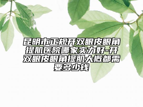 昆明市正规开双眼皮眼角提肌医院哪家实力好-开双眼皮眼角提肌大概都需要多少钱