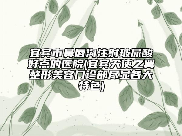 宜宾市鼻唇沟注射玻尿酸好点的医院(宜宾天使之翼整形美容门诊部尽显各大特色)