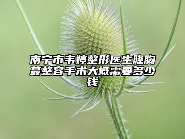 南宁市韦婷整形医生隆胸蕞整容手术大概需要多少钱