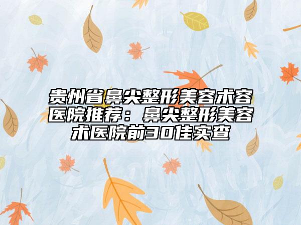 贵州省鼻尖整形美容术容医院推荐：鼻尖整形美容术医院前30佳实查