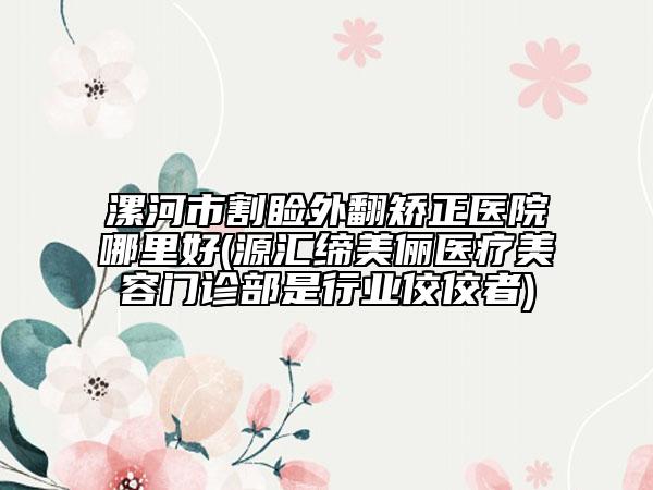 漯河市割睑外翻矫正医院哪里好(源汇缔美俪医疗美容门诊部是行业佼佼者)