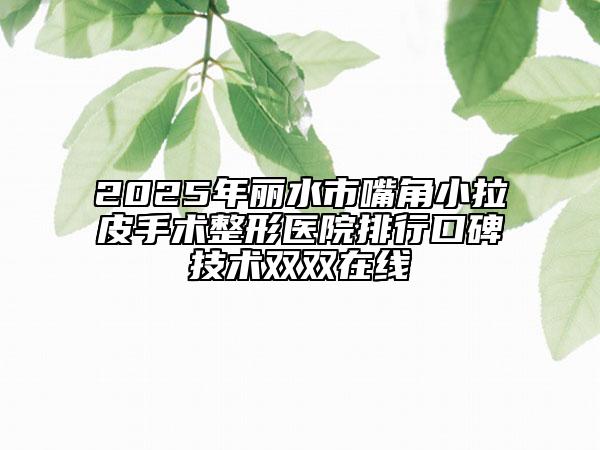 2025年丽水市嘴角小拉皮手术整形医院排行口碑技术双双在线