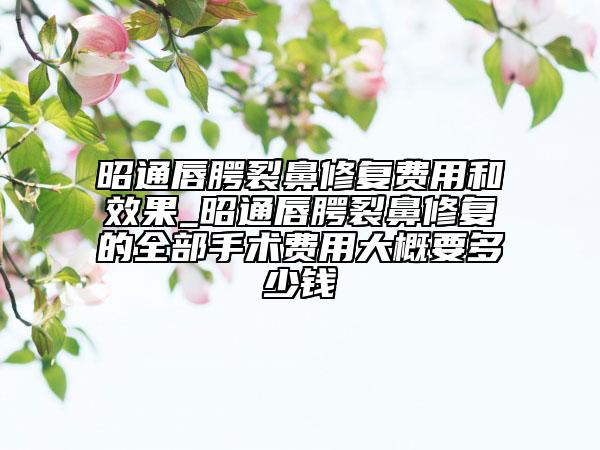 昭通唇腭裂鼻修复费用和效果_昭通唇腭裂鼻修复的全部手术费用大概要多少钱