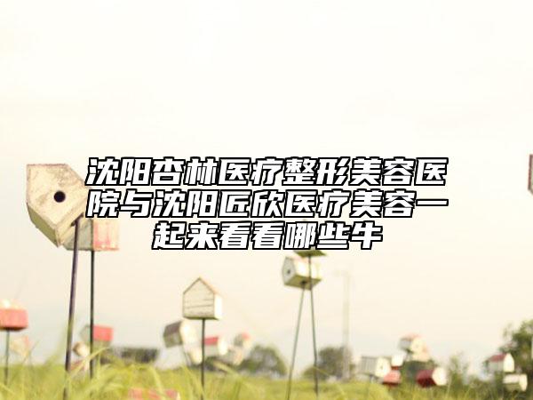 沈阳杏林医疗整形美容医院与沈阳匠欣医疗美容一起来看看哪些牛