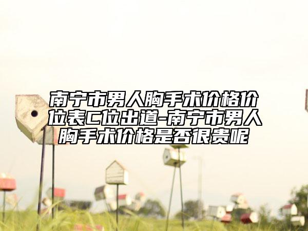 南宁市男人胸手术价格价位表C位出道-南宁市男人胸手术价格是否很贵呢