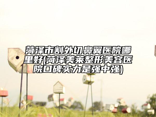 菏泽市割外切鼻翼医院哪里好(菏泽美莱整形美容医院口碑实力是强中强)