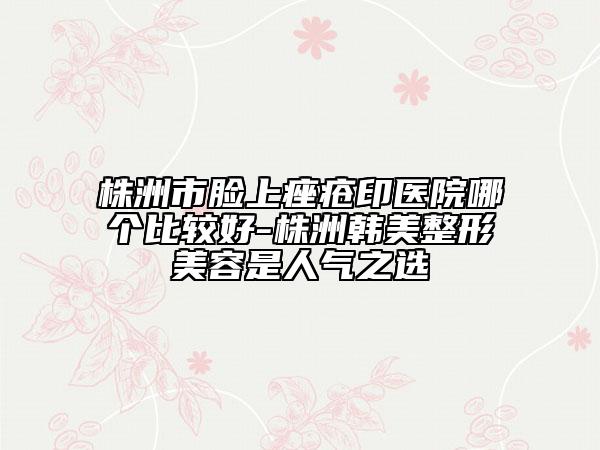 株洲市脸上痤疮印医院哪个比较好-株洲韩美整形美容是人气之选