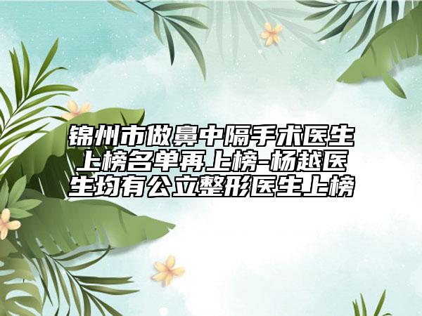 锦州市做鼻中隔手术医生上榜名单再上榜-杨越医生均有公立整形医生上榜