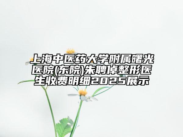 上海中医药大学附属曙光医院(东院)朱聘倬整形医生收费明细2025展示