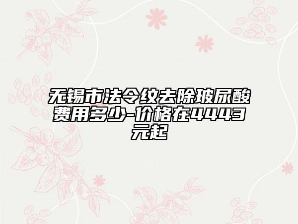 无锡市法令纹去除玻尿酸费用多少-价格在4443元起