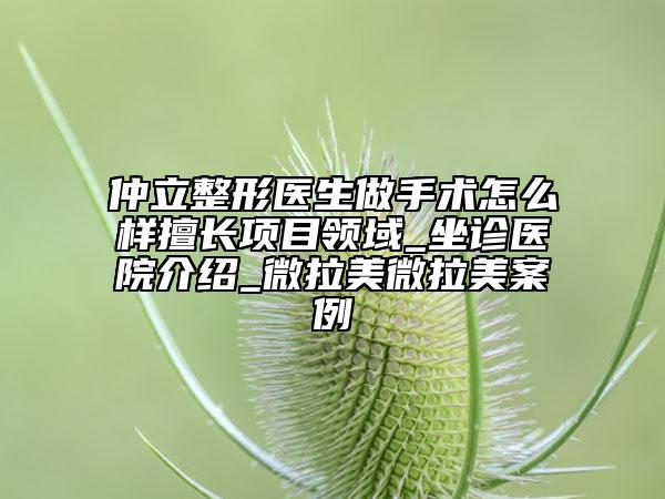 仲立整形医生做手术怎么样擅长项目领域_坐诊医院介绍_微拉美微拉美案例