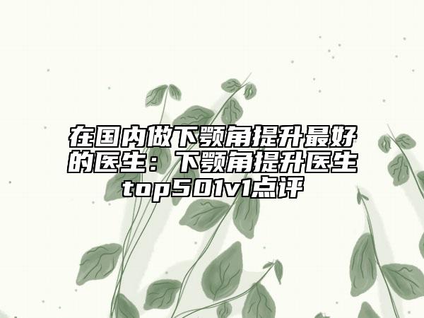 在国内做下颚角提升最好的医生：下颚角提升医生top501v1点评