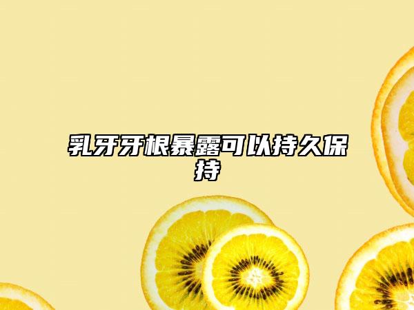 乳牙牙根暴露可以持久保持