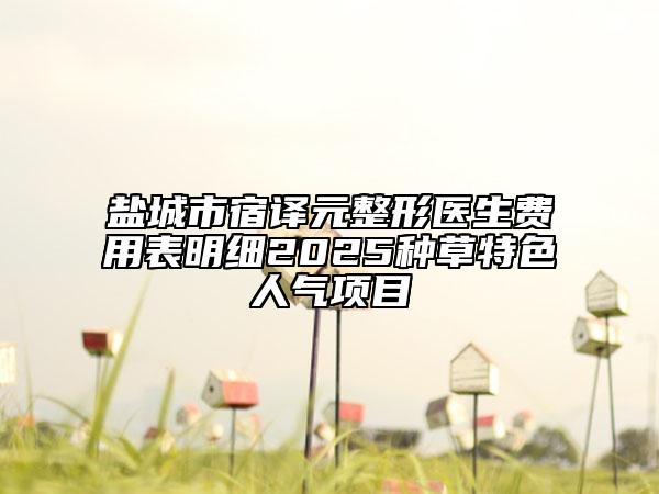 盐城市宿译元整形医生费用表明细2025种草特色人气项目