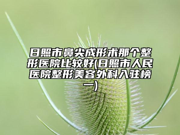 日照市鼻尖成形术那个整形医院比较好(日照市人民医院整形美容外科入驻榜一)