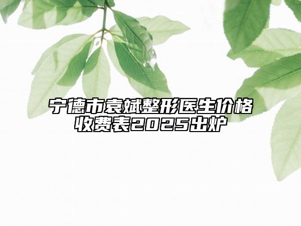 宁德市袁斌整形医生价格收费表2025出炉