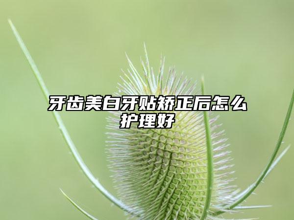 牙齿美白牙贴矫正后怎么护理好