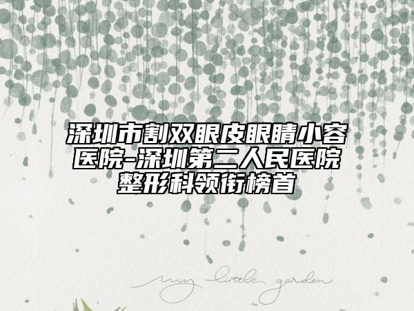 深圳市割双眼皮眼睛小容医院-深圳第二人民医院整形科领衔榜首