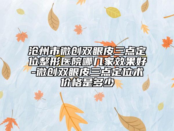沧州市微创双眼皮三点定位整形医院哪几家效果好-微创双眼皮三点定位术价格是多少