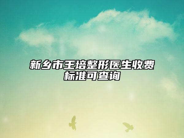 新乡市王培整形医生收费标准可查询