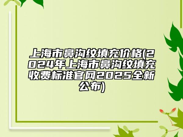 上海市鼻沟纹填充价格(2024年上海市鼻沟纹填充收费标准官网2025全新公布)