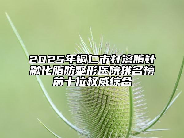 2025年铜仁市打溶脂针融化脂肪整形医院排名榜前十位权威综合