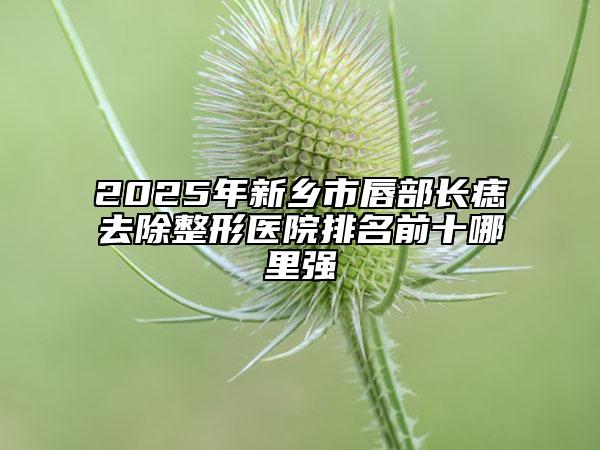 2025年新乡市唇部长痣去除整形医院排名前十哪里强