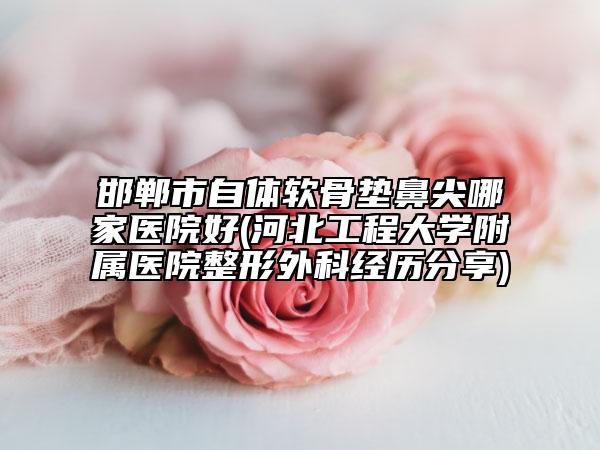 邯郸市自体软骨垫鼻尖哪家医院好(河北工程大学附属医院整形外科经历分享)
