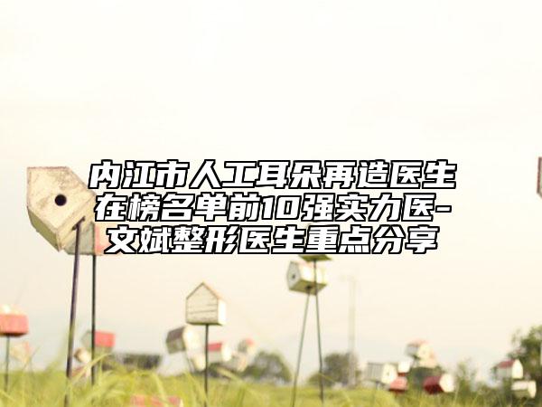 内江市人工耳朵再造医生在榜名单前10强实力医-文斌整形医生重点分享