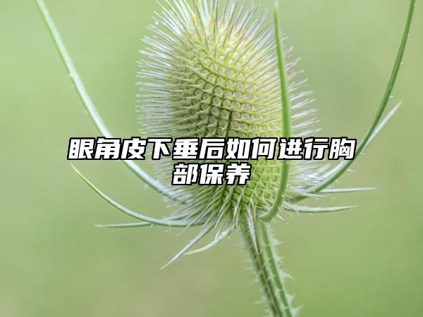 眼角皮下垂后如何进行胸部保养