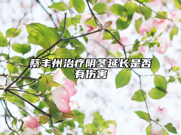 蔡丰州治疗阴茎延长是否有伤害