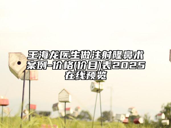 王海龙医生做注射隆鼻术案例-价格(价目)表2025在线预览