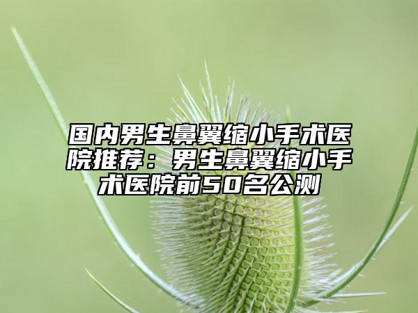 国内男生鼻翼缩小手术医院推荐：男生鼻翼缩小手术医院前50名公测