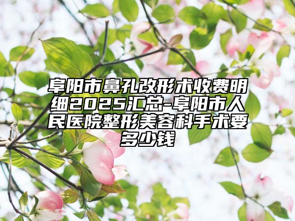 阜阳市鼻孔改形术收费明细2025汇总-阜阳市人民医院整形美容科手术要多少钱