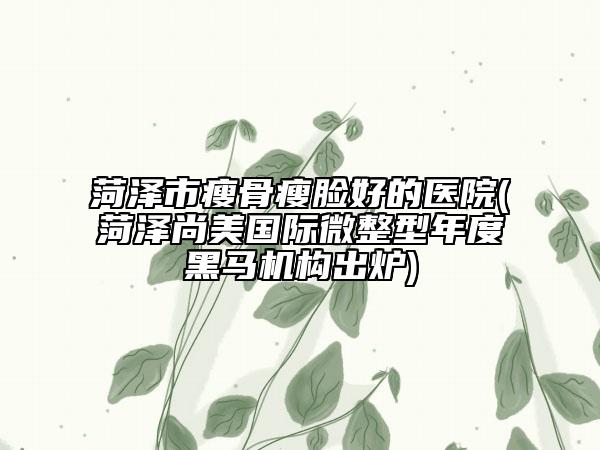 菏泽市瘦骨瘦脸好的医院(菏泽尚美国际微整型年度黑马机构出炉)