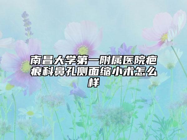 南昌大学第一附属医院疤痕科鼻孔侧面缩小术怎么样