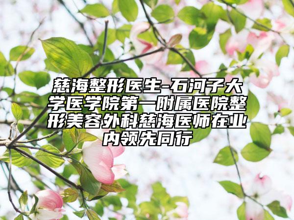 慈海整形医生-石河子大学医学院第一附属医院整形美容外科慈海医师在业内领先同行