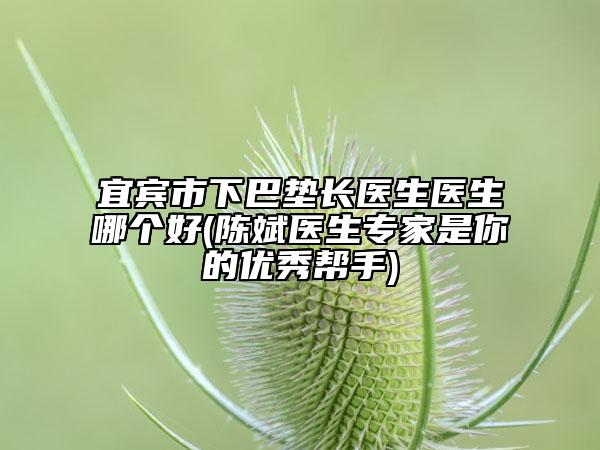 宜宾市下巴垫长医生医生哪个好(陈斌医生专家是你的优秀帮手)