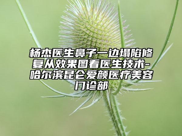 杨杰医生鼻子一边塌陷修复从效果图看医生技术-哈尔滨昆仑爱颜医疗美容门诊部