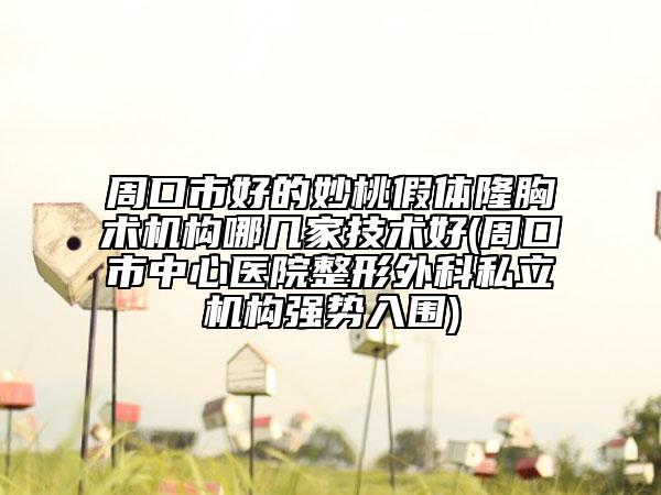 周口市好的妙桃假体隆胸术机构哪几家技术好(周口市中心医院整形外科私立机构强势入围)