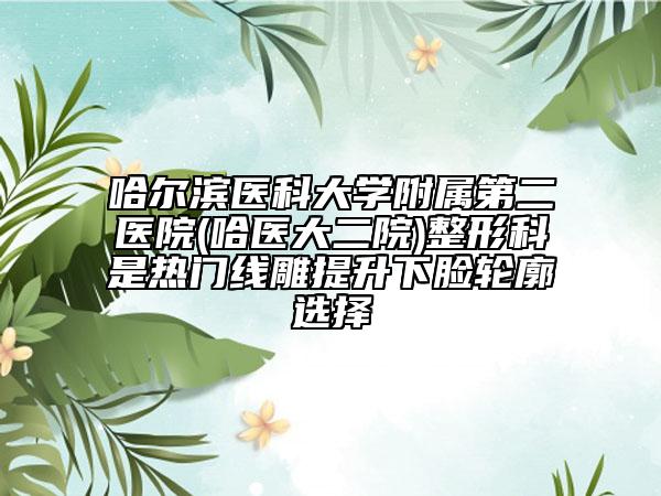 哈尔滨医科大学附属第二医院(哈医大二院)整形科是热门线雕提升下脸轮廓选择