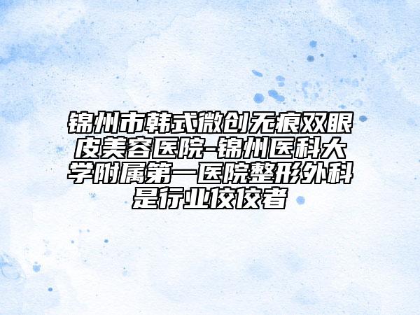 锦州市韩式微创无痕双眼皮美容医院-锦州医科大学附属第一医院整形外科是行业佼佼者