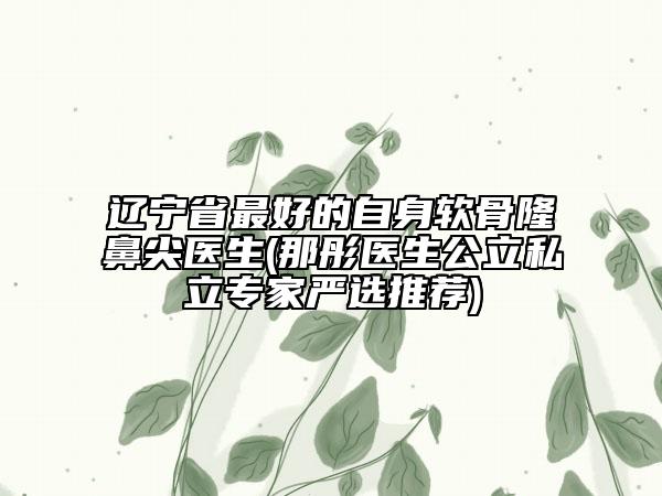 辽宁省最好的自身软骨隆鼻尖医生(那彤医生公立私立专家严选推荐)