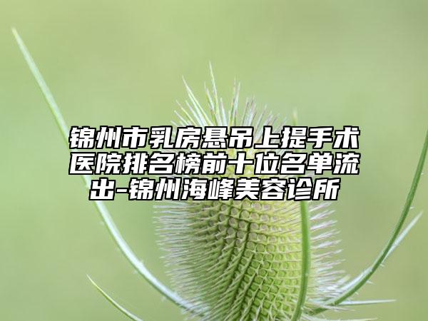 锦州市乳房悬吊上提手术医院排名榜前十位名单流出-锦州海峰美容诊所