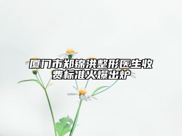 厦门市郑锦洪整形医生收费标准火爆出炉