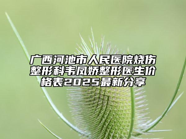 广西河池市人民医院烧伤整形科韦凤娇整形医生价格表2025最新分享