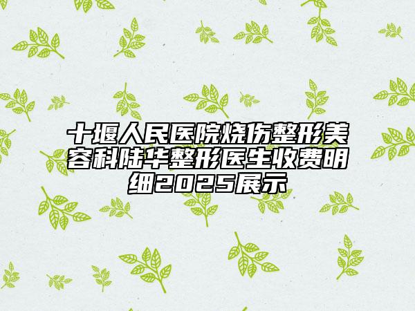 十堰人民医院烧伤整形美容科陆华整形医生收费明细2025展示